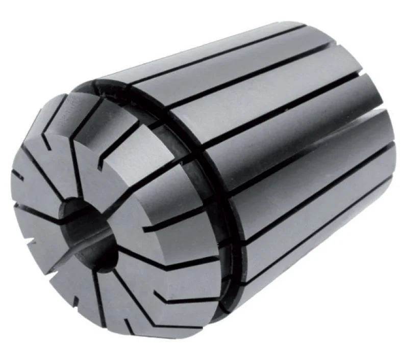 alicon1-2834652