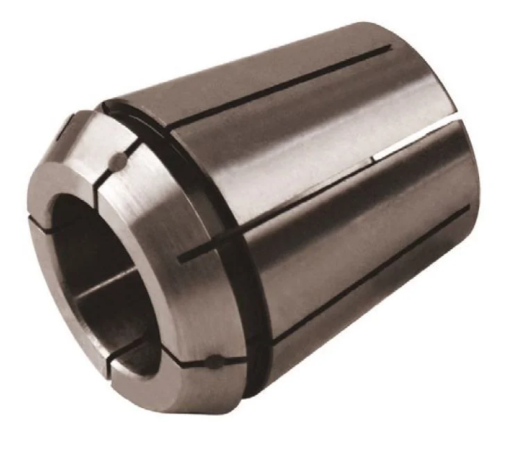 alicon1-2835398