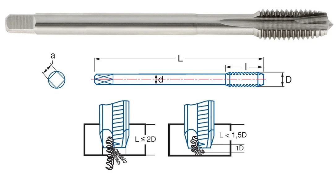 alicon1-2922746