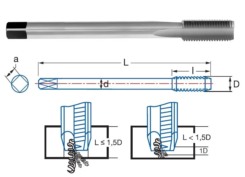 alicon1-2923325