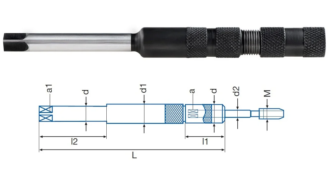 alicon1-2925128
