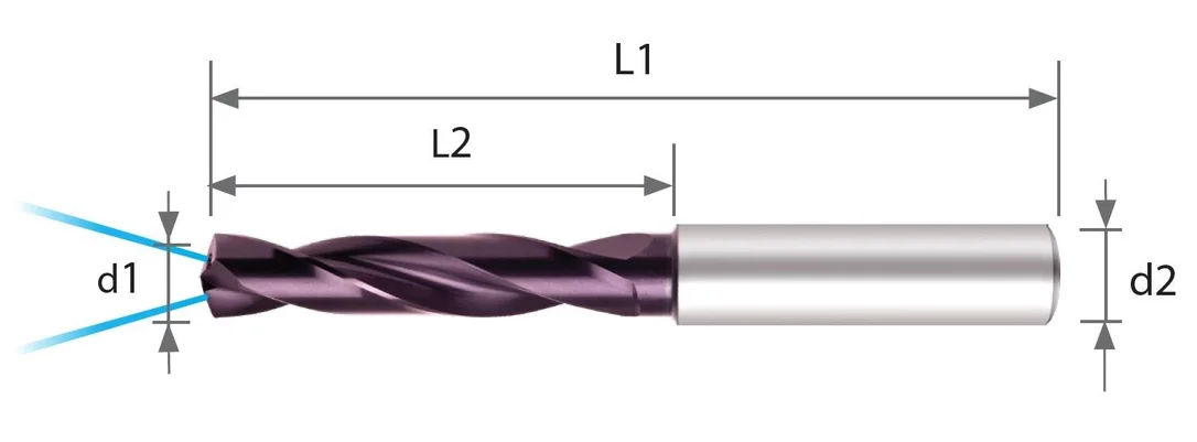alicon1-3006425