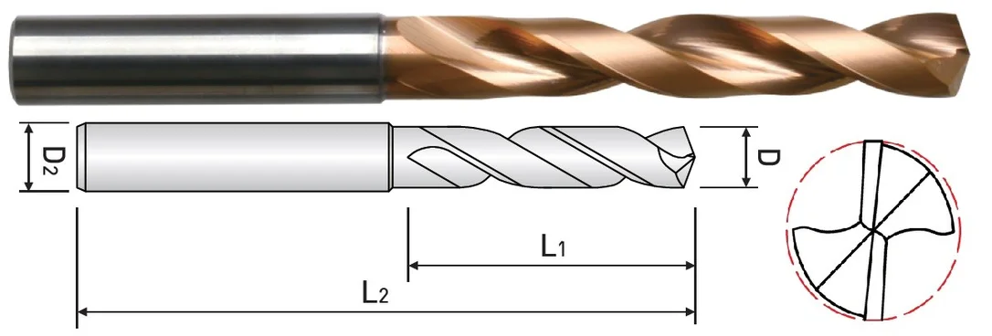 alicon1-3033751