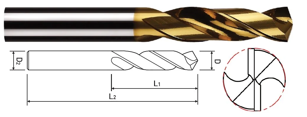 alicon1-3074841