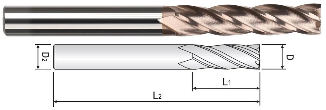 alicon1-3146405