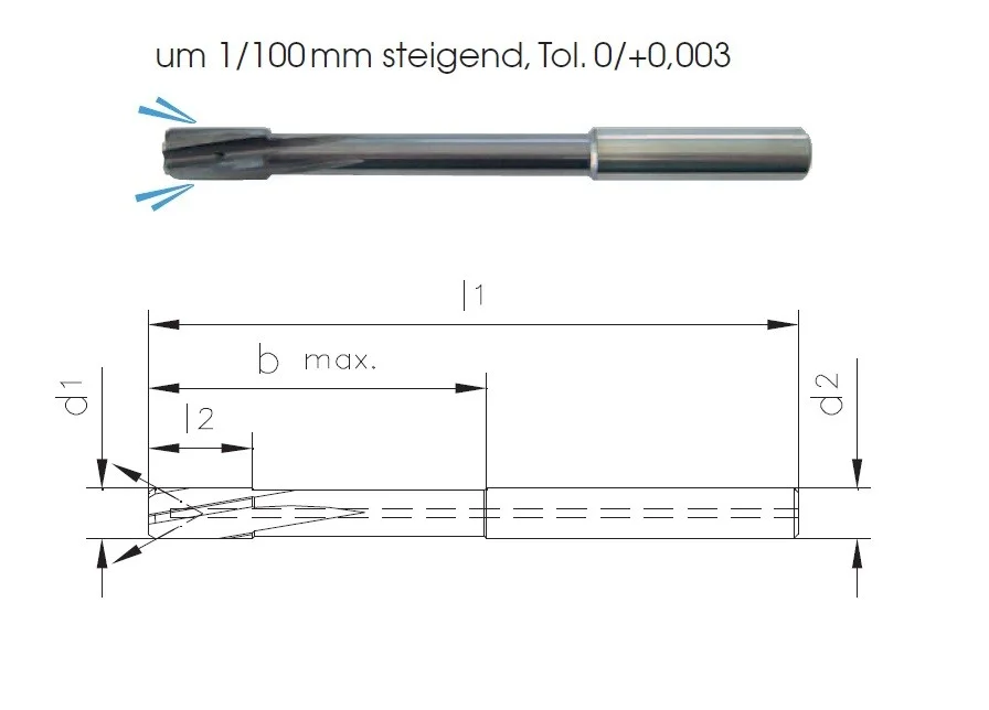 alicon1-3180318