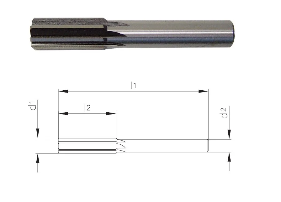alicon1-3195915
