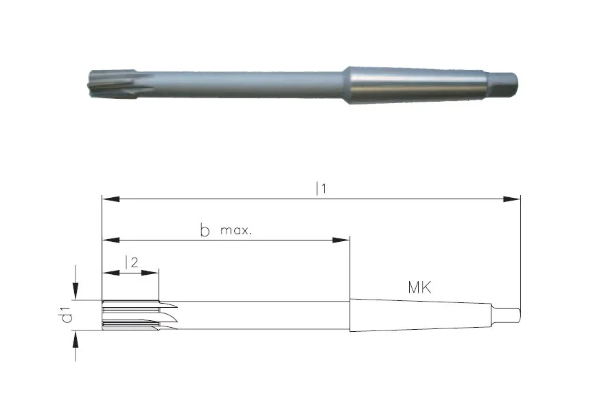 alicon1-3224773