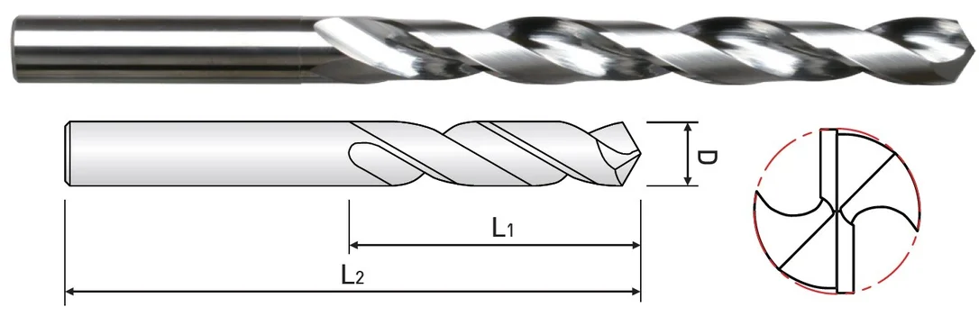 alicon1-3262479