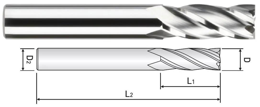 alicon1-3271896