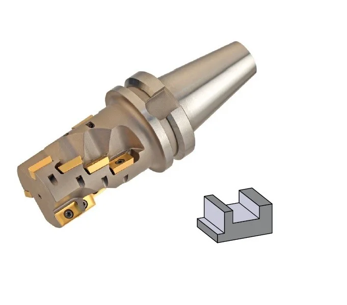 alicon2-2862341