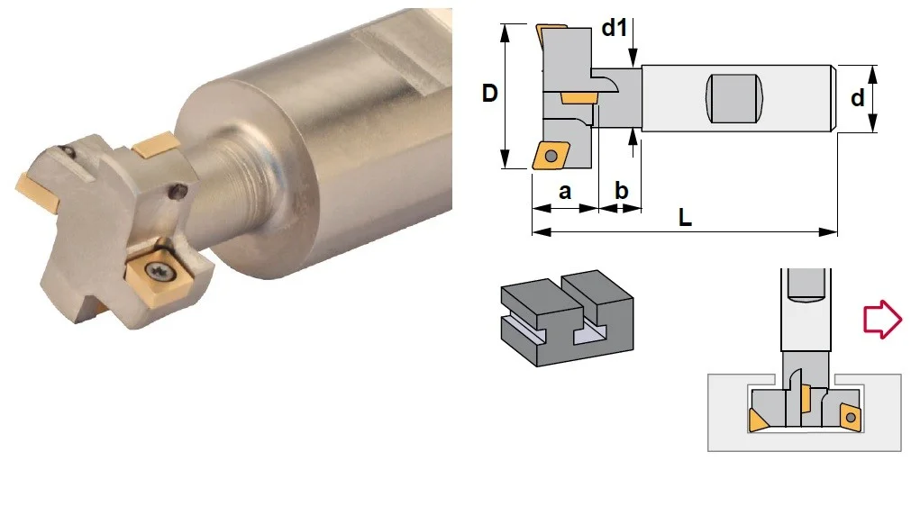 alicon2-2864539