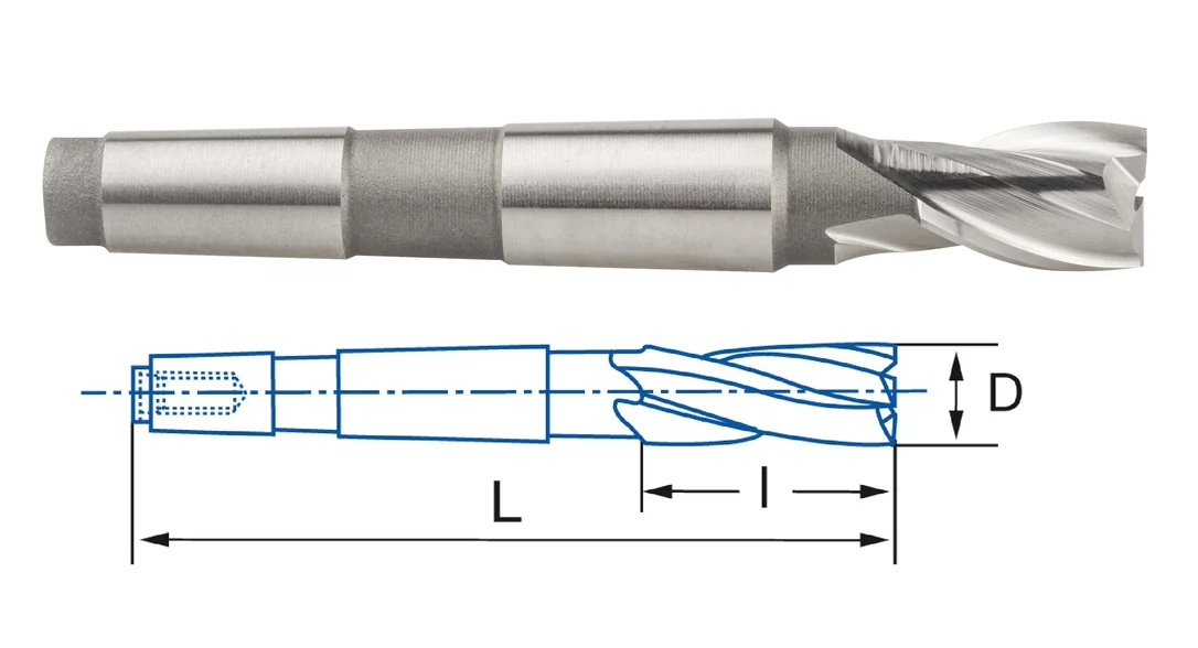alicon2-2873984