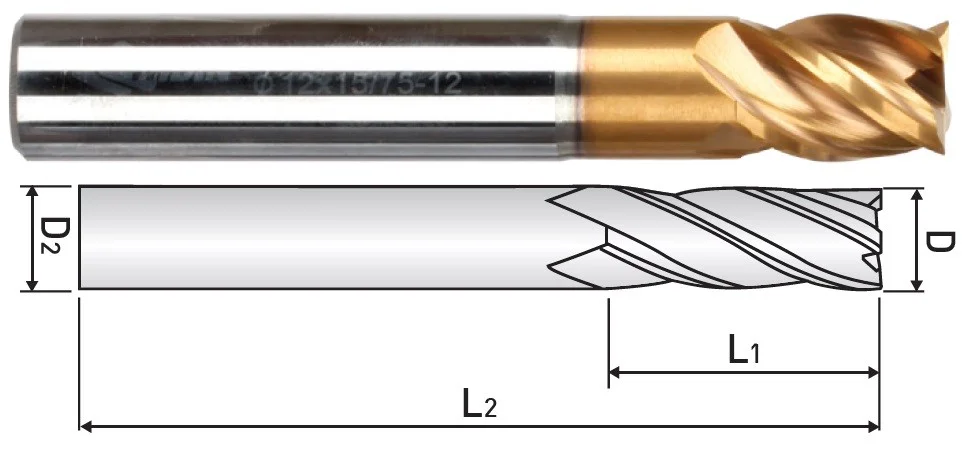 alicon2-2981495