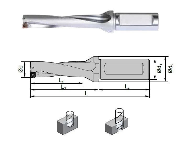 alicon2-3013784