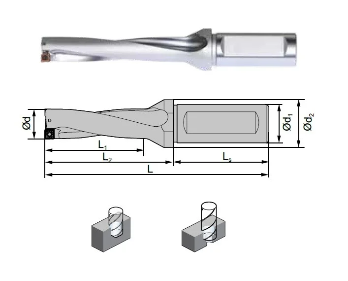 alicon2-3017929