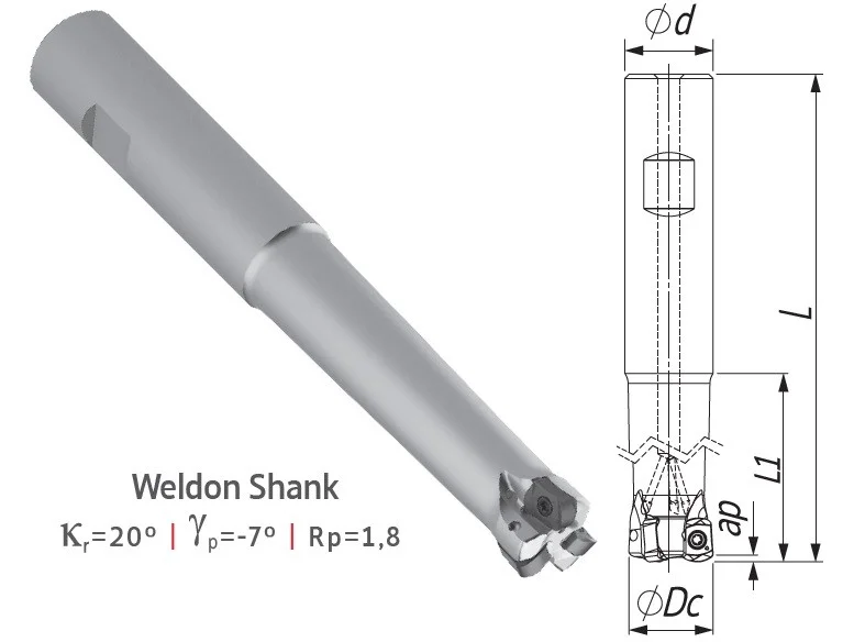 alicon2-3263134