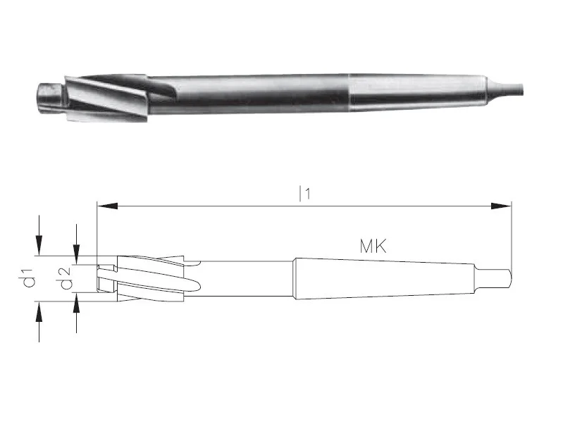 alicon4-2879898