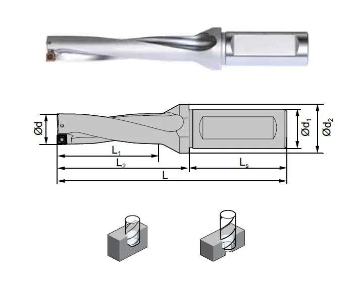 alicon4-3156165
