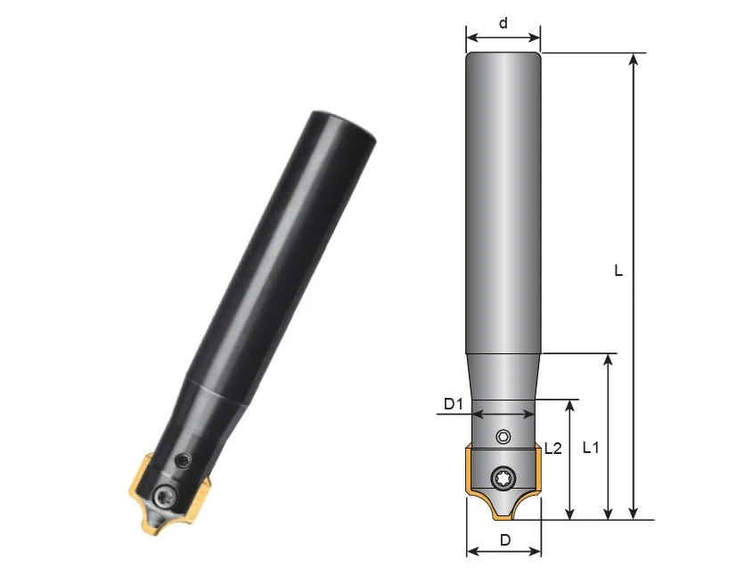 alicon5-2895340