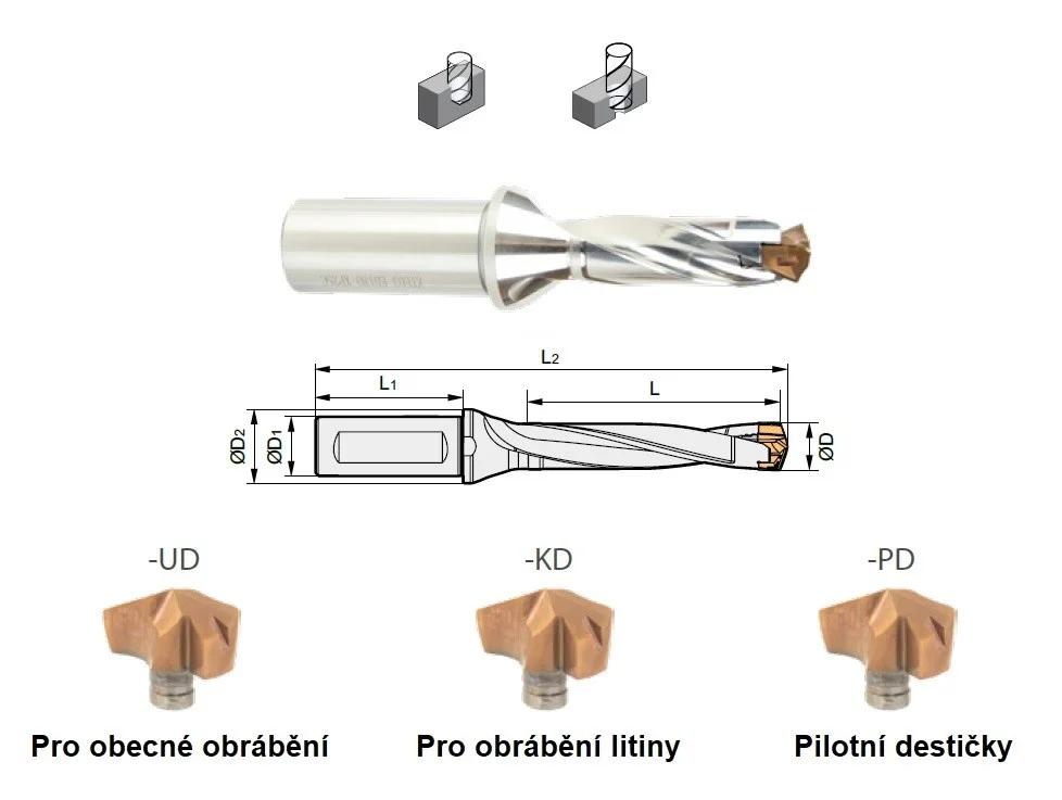 alicon5-3021419