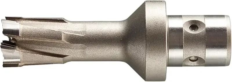boukal1-3338899