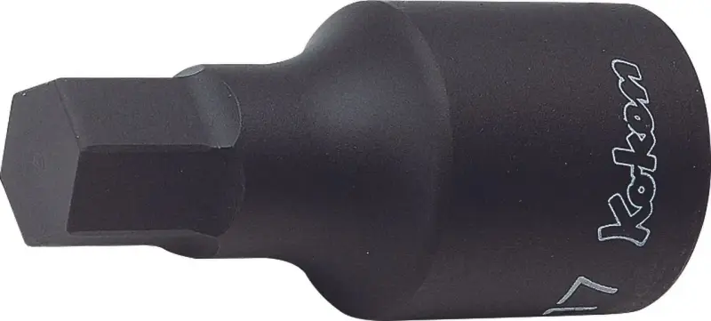 boukal2-3330712