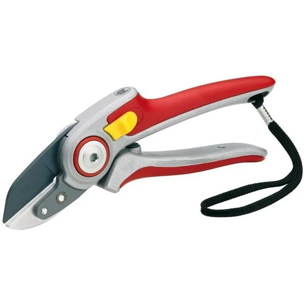 landsmann1-3282311