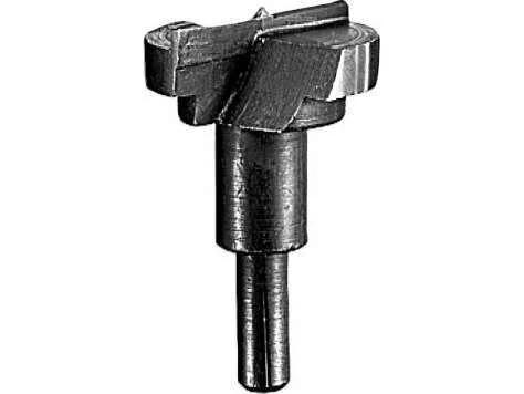 naradihornig-3039256