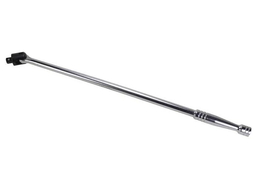 naradihornig-3086459