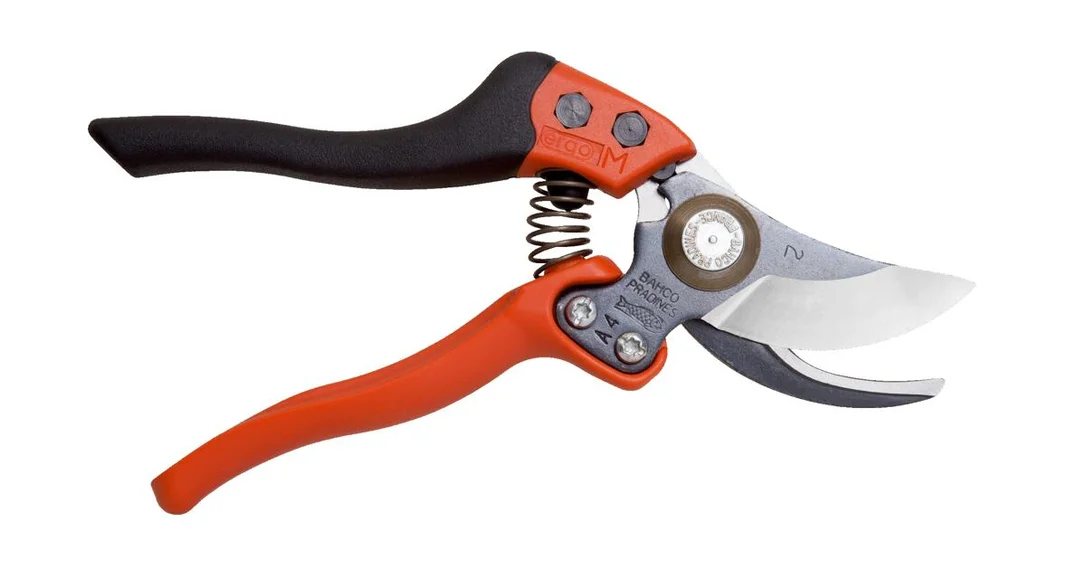 naradihornig-3173058