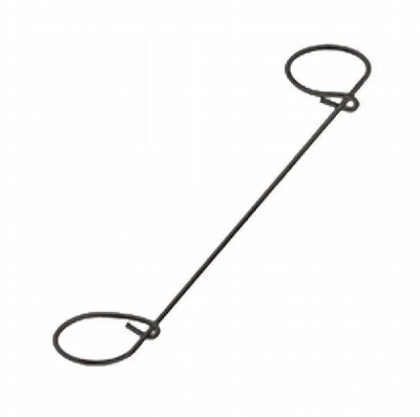 naradihornig-3176119