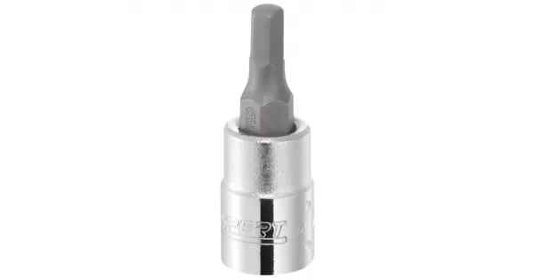 peddy-2988963