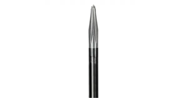 peddy-3037234
