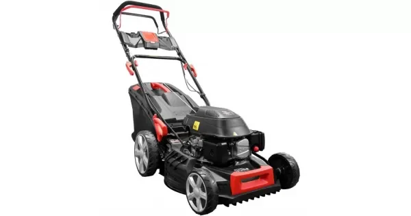 peddy-3055466