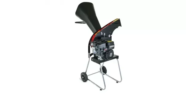 peddy-3068005
