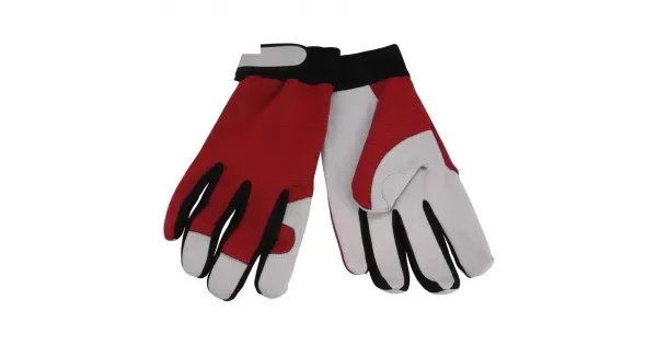peddy-3092882