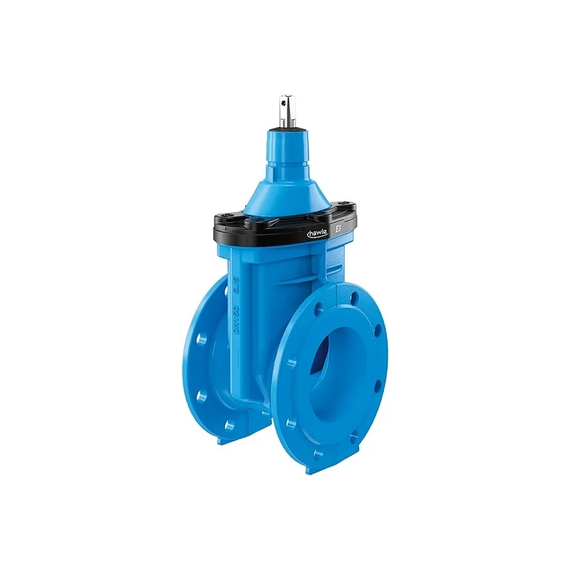 pkvplus-2829294